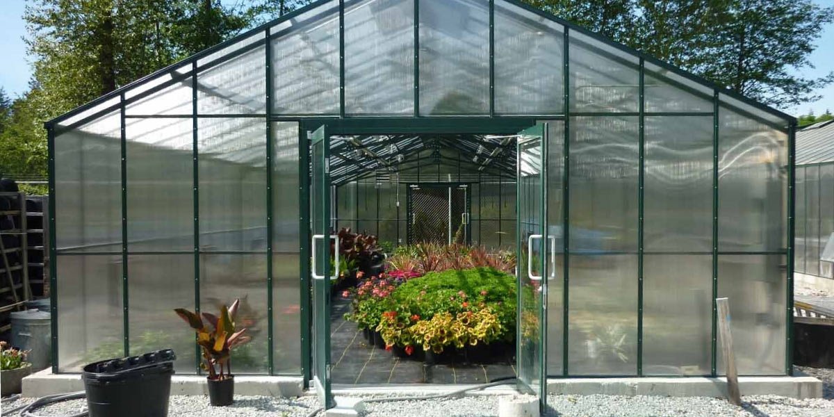 How to Choose Right Glass or Clear Plastic Panels for Greenhouse