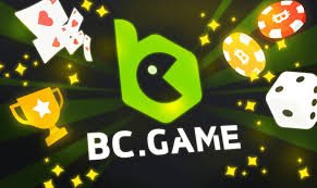 Your Ultimate Guide to What to Expect from BCStavka