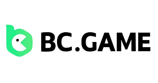 Your Ultimate Guide to What to Expect from BCStavka